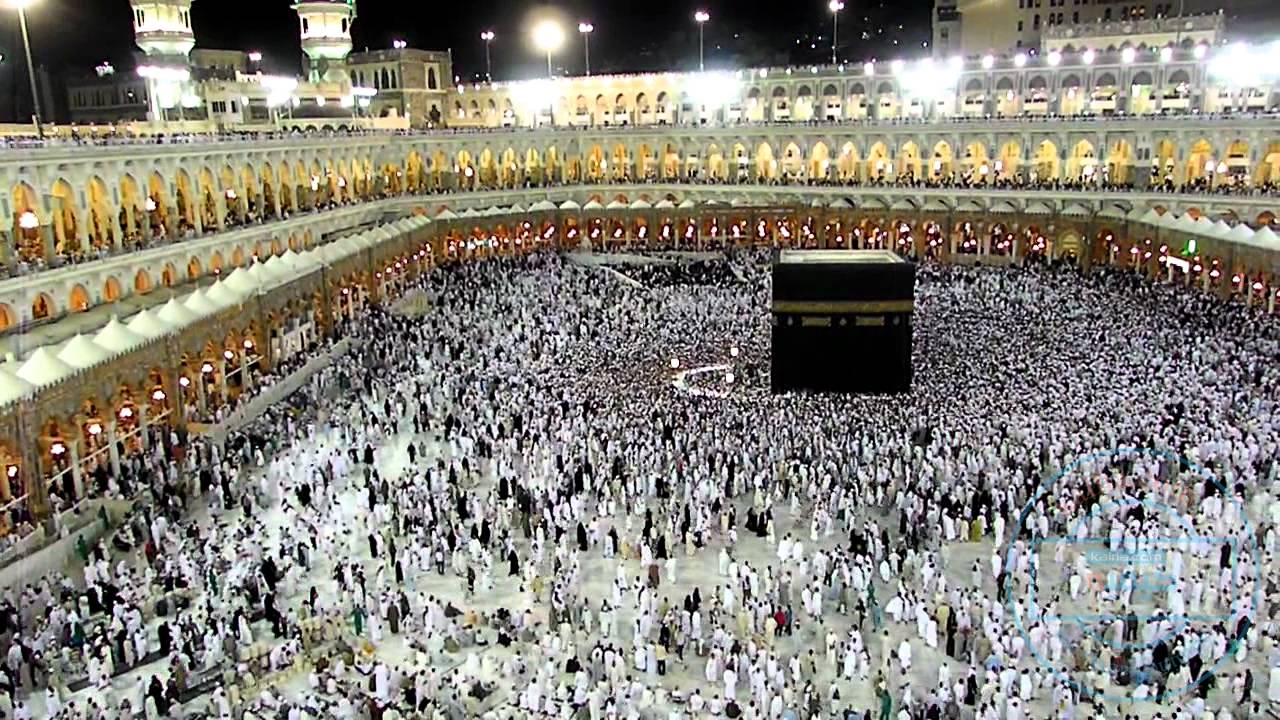 تغذية رحلة العمرة