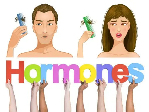 الهرمونات المؤثرة على وزن الجسم